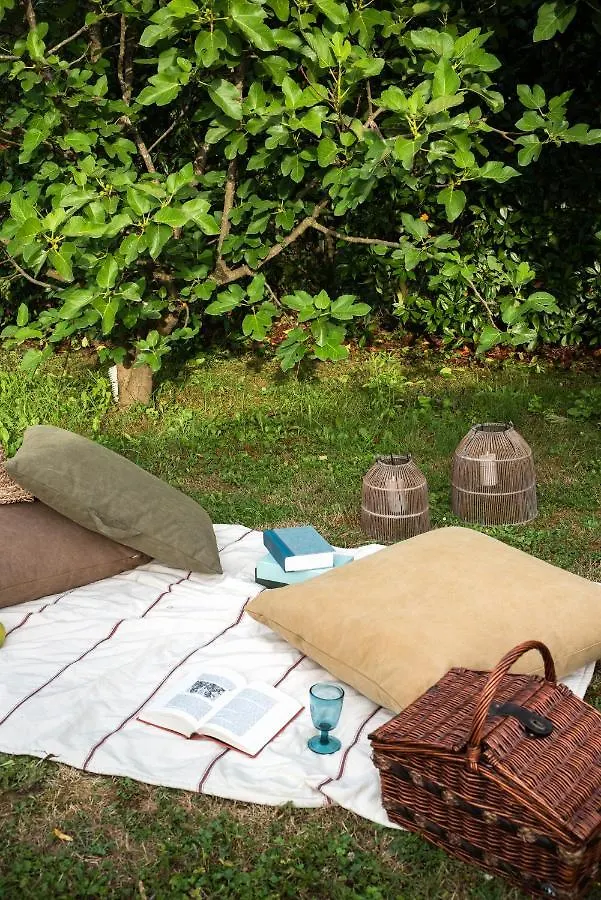 Villa I Ginepri Exclusive Countryhouse, 15Pax, Private Pool, Aulla Serricciolo